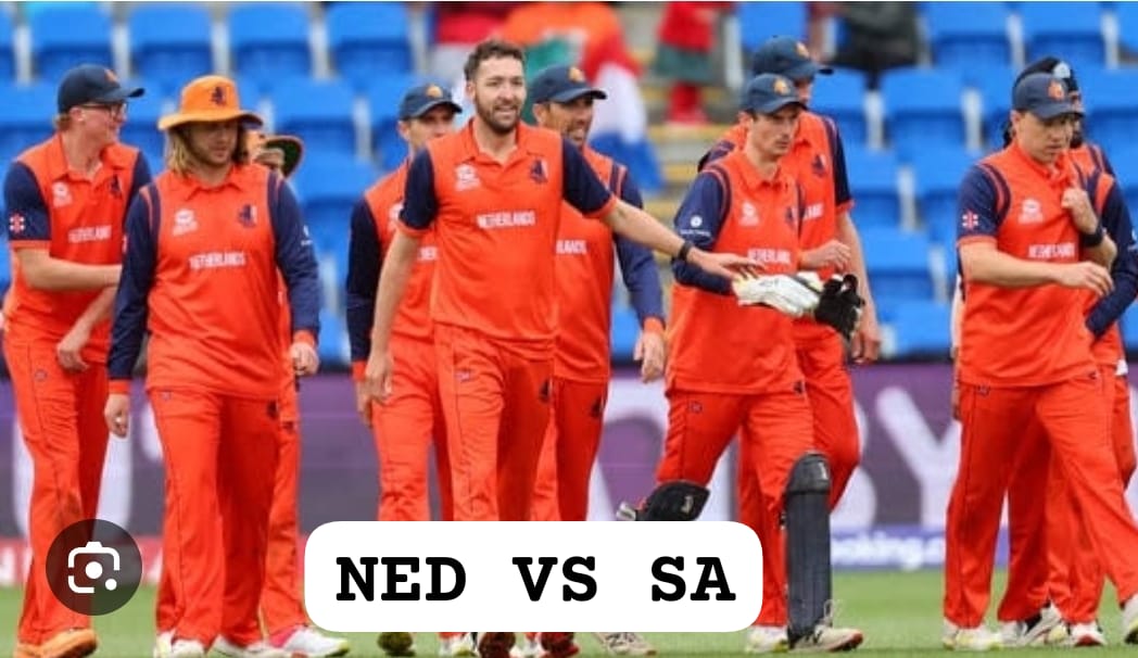 ned vs sa